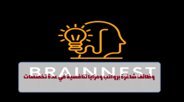 إعلان وظائف من شركة Brainnest في سلطنة عمان في عدة تخصصات