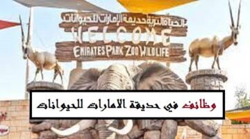 مطلوب مراقب التكلفة للعمل في حديقة الإمارات للحيوانات والمنتج بابوظبي