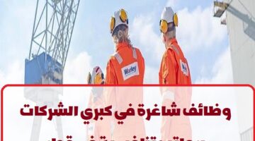 شركة وورلي تعلن عن وظائف في قطر لجميع الجنسيات
