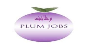 شركة PLUM JOBS بدبي توفر وظائف شاغرة مختلفة التخصصات لجميع الجنسيات