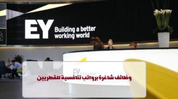 إعلان وظائف من شركة EY في قطر لجميع الجنسيات في عدة تخصصات