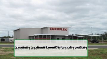 شركة إنير فيلكس تعلن عن وظائف في سلطنة عمان لجميع الجنسيات