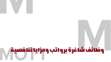 إعلان وظائف من شركة موت ماكدونالد في سلطنة عمان لجميع الجنسيات