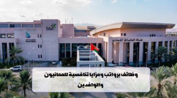 هيئة الطيران المدني تعلن عن وظائف في سلطنة عمان لجميع الجنسيات
