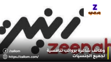 شركات التسويق في سلطنة عمان من شركة زينة لجميع الجنسيات