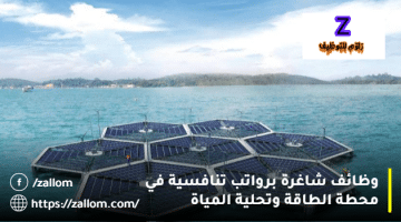 وظائف سلطنة عمان اليوم من محطة الطاقة وتحلية المياه للمواطنين والمقيمين