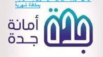أمانة محافظة جدة تعلن عن فرص تدريبية عبر برنامج تمهير مع مكافأة شهرية
