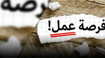 شواغر في ابوظبي اليوم براتب 10,000 درهم للرجال والنساء
