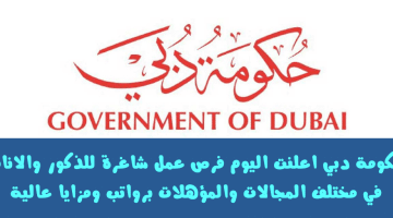 وظائف حكومة دبي براتب يصل الي 50,000 درهم في عدد من التخصصات