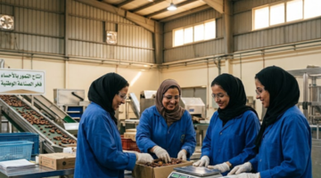 وظائف مصانع الأحساء للنساء